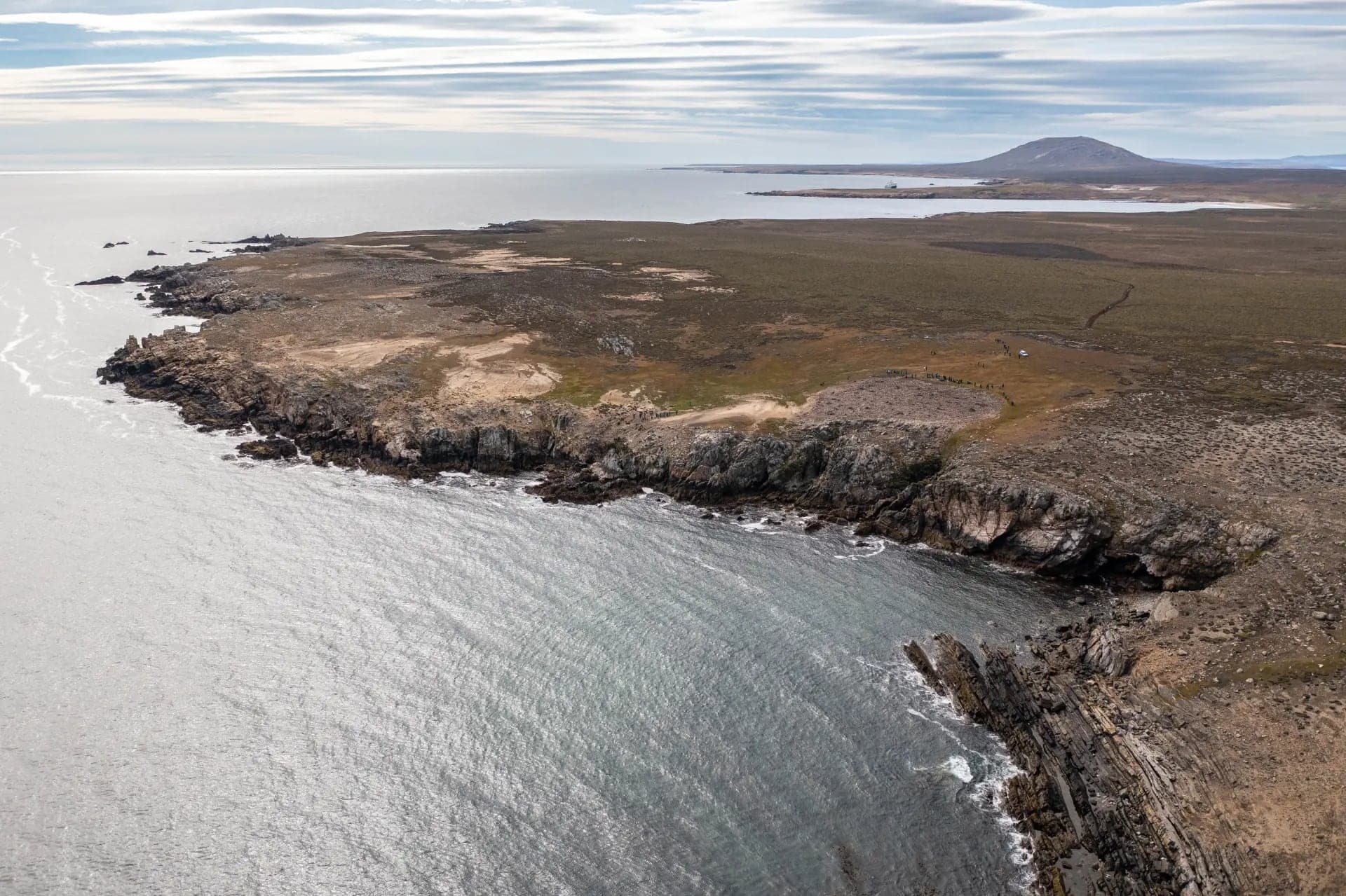 Pebble Island's kelp coastline, the Falklands