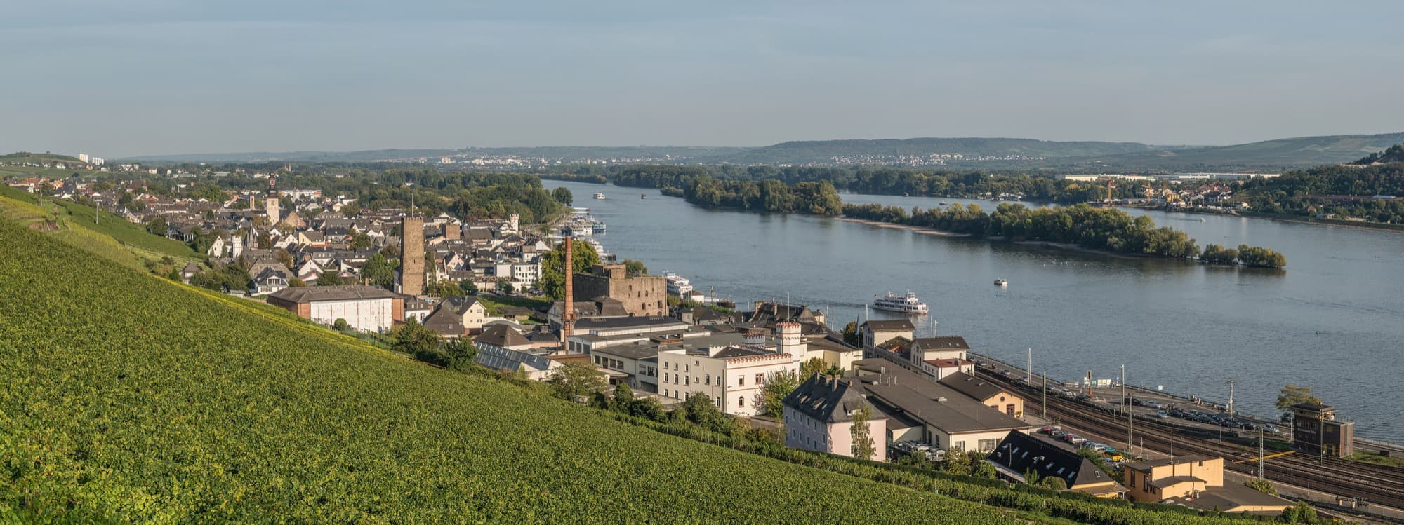 Rüdesheim's vineyard terraces above the river